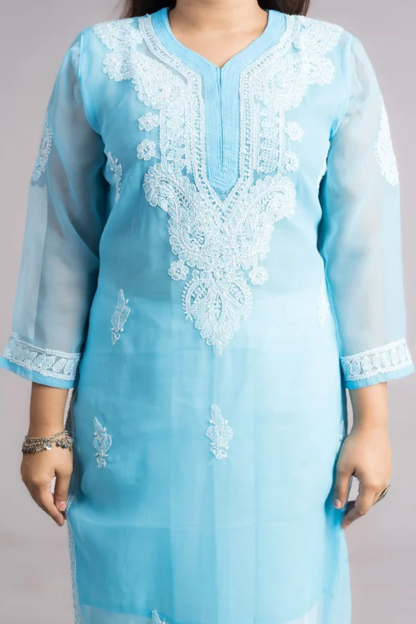 Blue Floral Embroidered Chikankari Straight Kurti